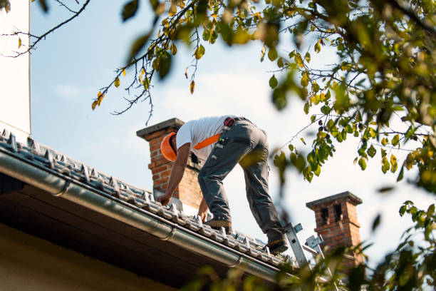 Best Roof Leak Repair  in Duluth, WA